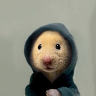 axufishy's profile picture. 前のアカウント@yamadakun0003 旧友@qnxuzfv @amubera_