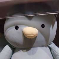 きゅーり🥒 (@qu___li) 's Twitter Profile