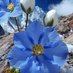 Hillary (@naturelover1121) Twitter profile photo Hillary (@naturelover1121) Twitter profile photo