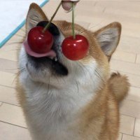 自分 (@axfa23) 's Twitter Profile