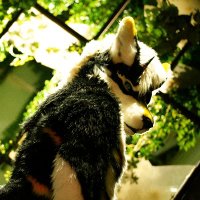 帕連克Palenque (@palenque1027) 's Twitter Profile
