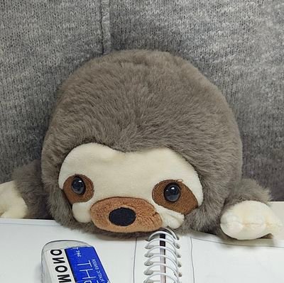 nanakoさんのプロフィール画像