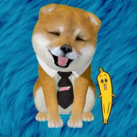 ワンにゃフル物語【公式】 (@tx_wannyaful) Twitter profile photo