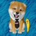 ワンにゃフル物語【公式】 (@tx_wannyaful) Twitter profile photo ワンにゃフル物語【公式】 (@tx_wannyaful) Twitter profile photo