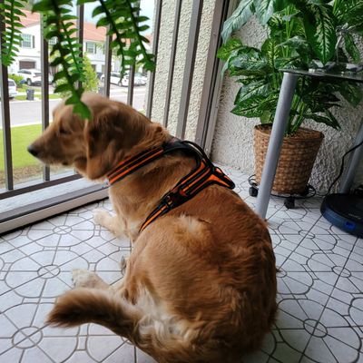 LidiaGuerr8337's profile picture. 