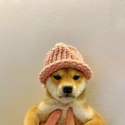 Zahidshah197444's profile picture. CryptoNerd