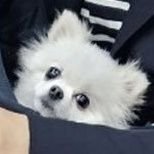 u_long_'s profile picture. 손유동은 나의 빛