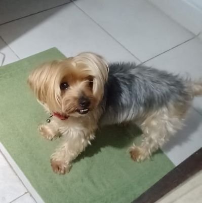 marialu_68's profile picture. 🖤🤍Camino Neucatecumenal (Catecumena) Católica Apostólica Romana