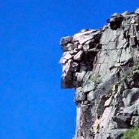 Scott D (@scottd276) 's Twitter Profile