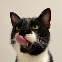 Eagle 🖤 (@kedieagle) Twitter profile photo