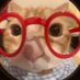 라헬잉 님 외 99명이 (@rahelying) Twitter profile photo 라헬잉 님 외 99명이 (@rahelying) Twitter profile photo