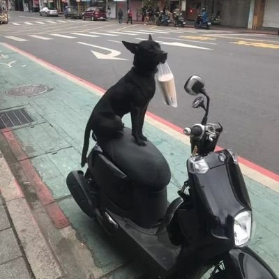 あなたが私を幸せにしてくれることをいつも信じています
食卓に食べ物を並べるために一生懸命働いています
いつも自分の出身地を忘れないでください
🎃✨💚💛💜🌺🌱🌱