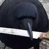 @DEDDEDED_