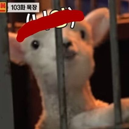 tttttt_yr7's profile picture. 뮤지컬 검은사제들 음악극 세자전 양지원 박유덕 같극타캐 감사합니다! 근데 이거 보면서 왜 심장이 뜨겁고 눈물이 나지…  진짜 멋지고 감사합니다