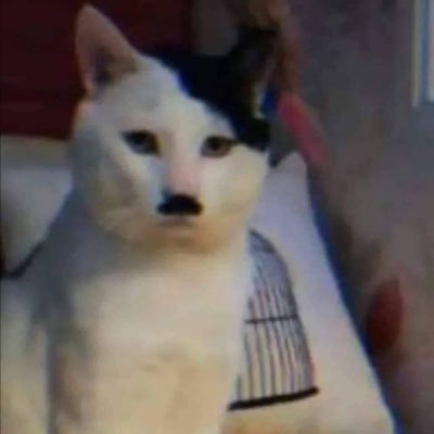 chan84541's profile picture. 