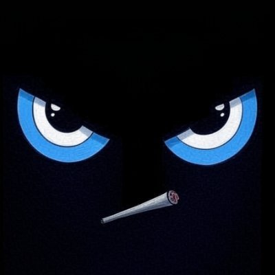 Doobyshmo's profile picture. #LFGM I Love Squirrels. Gen X. AMERICA FIRST, ALWAYS. Legalize Weed in Wisconsin. 🐻‍❄️