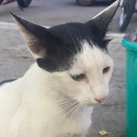 eow (@eowraniumm) 's Twitter Profile