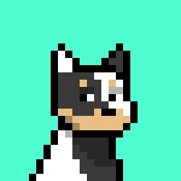 Guy (@guymetax) 's Twitter Profile Photo Guy (@guymetax) 's Twitter Profile Photo