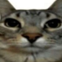 쌍비 (@ppobppi22) 's Twitter Profile Photo