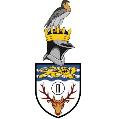 Local cricket club in Bagshot village offering competitive and social cricket for all (Adult, Colts, Ladies and Walking).