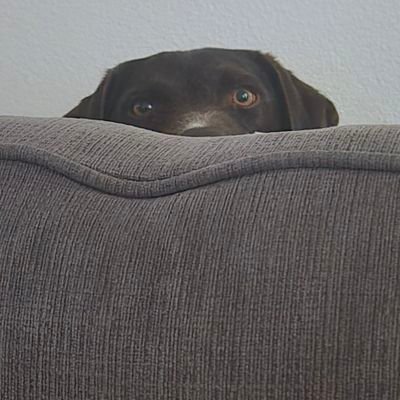 trevor_clapp's profile picture. 