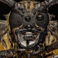 Aazadi-e-Afkaar (@aazadi_e_afkaar) 's Twitter Profile