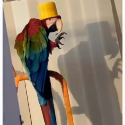 buggyrl's profile picture. God is great. make out hill