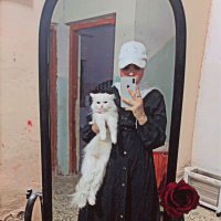 Celia (@ce1lia1) 's Twitter Profile