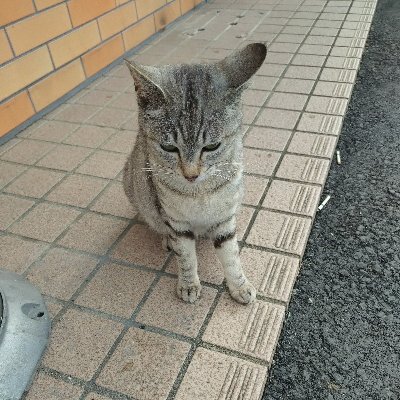 会える人待ってます