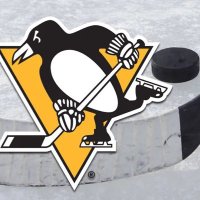 DARRIN S - Penguins ๐ Steelers ๐ (@sd9527d909) 's Twitter Profile