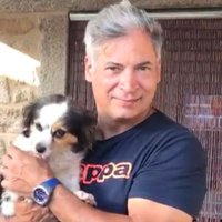 Guido Finzi (@guidofinzi) 's Twitter Profile Photo Guido Finzi (@guidofinzi) 's Twitter Profile Photo
