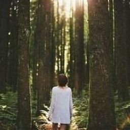 Korden904547's profile picture. 