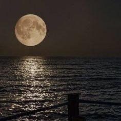 Sheikha84086232's profile picture. 