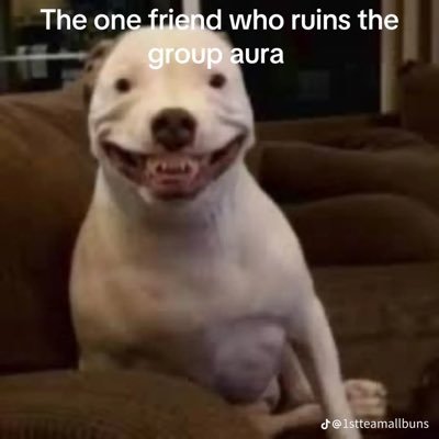 mister_big26's profile picture. bench-405 squat-825, love 2 mans and getting freaky😉😉