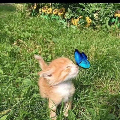 Typosanderrors's profile picture. Currently in zero state!