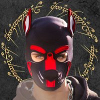 Tรบrin (@pup_turin) 's Twitter Profile Photo Tรบrin (@pup_turin) 's Twitter Profile Photo