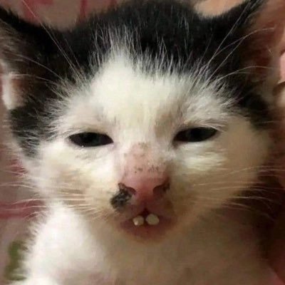 caitlaroiftw's profile picture. blak ❤️💛🖤 let me talk my shit .. pls follow me x