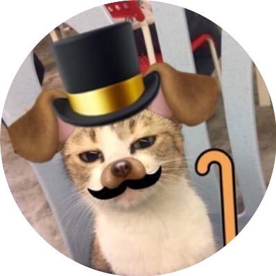kittypennybags's profile picture. i laik to smell monopoly’s board 👃🏾 plis pspsps for my attention. {insane: interact cautiously}