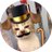 kittypennybags's profile image