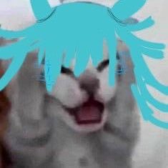 kasiiiii_sub's profile picture. ぱぽばしら