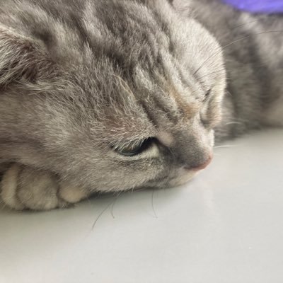 るな🌞さんのプロフィール画像