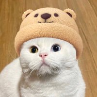 🍋 𝗟𝗘𝗠𝗢𝗡 ⸝⸝ เลม่อนมิกซ์จิ๋ว (@taeniemenow) 's Twitter Profile Photo 🍋 𝗟𝗘𝗠𝗢𝗡 ⸝⸝ เลม่อนมิกซ์จิ๋ว (@taeniemenow) 's Twitter Profile Photo