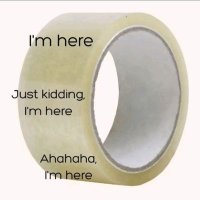 Andrew (@madcnut194159) 's Twitter Profile