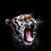 Salman (@salmanmian01970) Twitter profile photo Salman (@salmanmian01970) Twitter profile photo