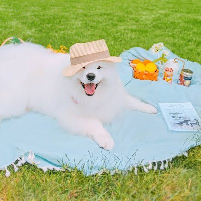 lezi_zhang77540's profile picture. 