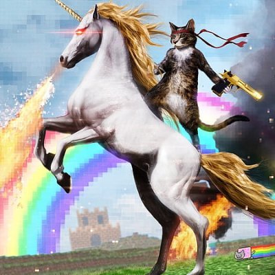 TheCatNSha95699's profile picture. 