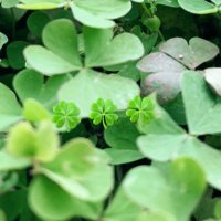 11 (@vaenvos) 's Twitter Profile