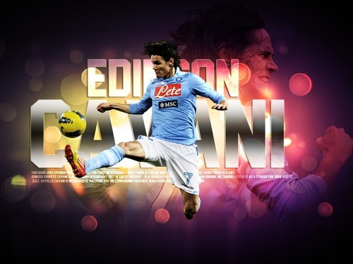 giuseppeconte17's profile picture. 