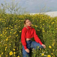 Sharon Dominic (@sharonsh16424) 's Twitter Profile