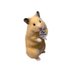 hamjin bot (@hamjinbot) Twitter profile photo hamjin bot (@hamjinbot) Twitter profile photo